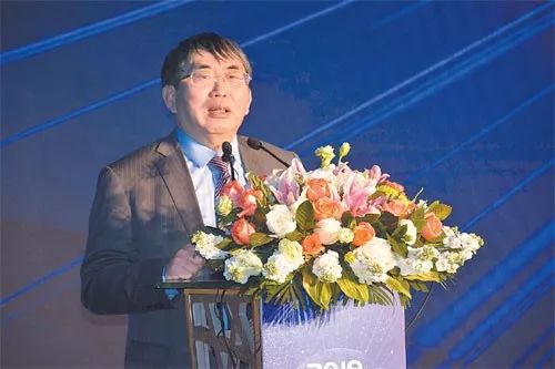 棋圣聂卫平的评价,棋圣聂卫平围棋