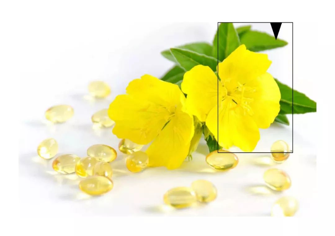 swisse蔓越莓胶囊能治妇科病吗,蔓越莓胶囊真的治妇科病吗