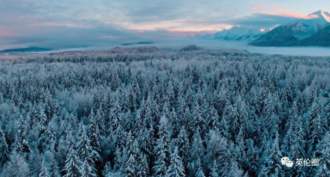 bbc经典必看十大纪录片,bbc十大经典纪录片9.9