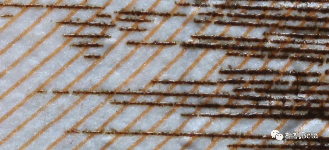 老蛙10mmf2.8多少钱,老蛙100mmf2.82倍微距