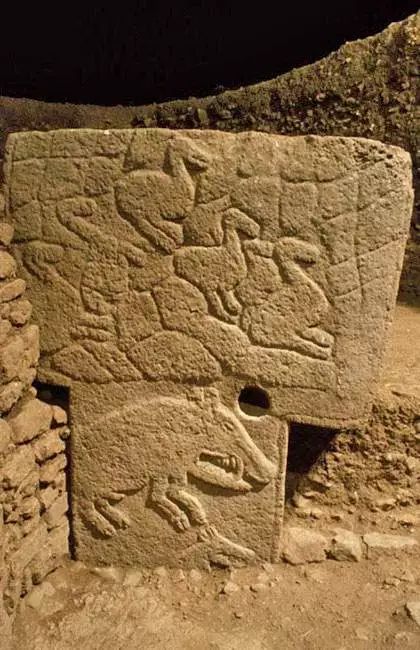 野猪的“世界史”,也是一部《权力的游戏》