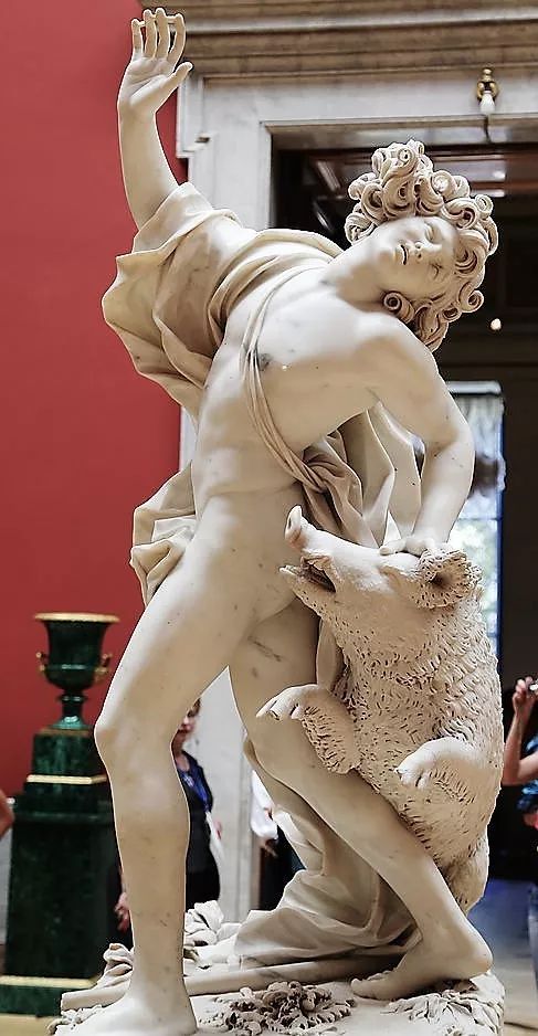 野猪的“世界史”,也是一部《权力的游戏》