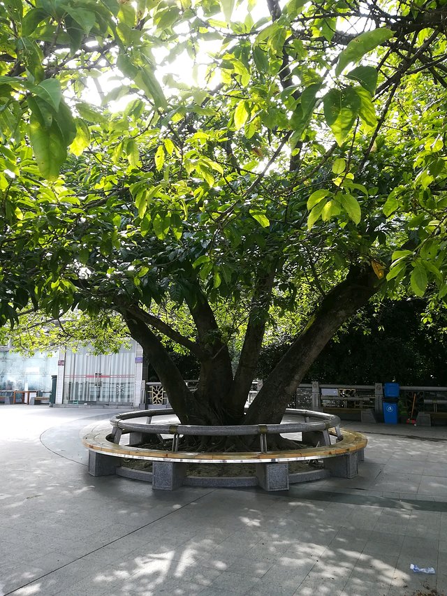 长江三峡重庆游七天六晚,重庆慢节奏旅游攻略