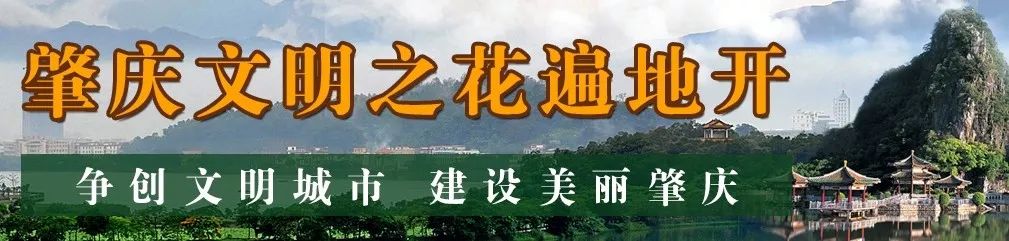 肇庆市十大小学排名一览表,广东肇庆足球学校排名