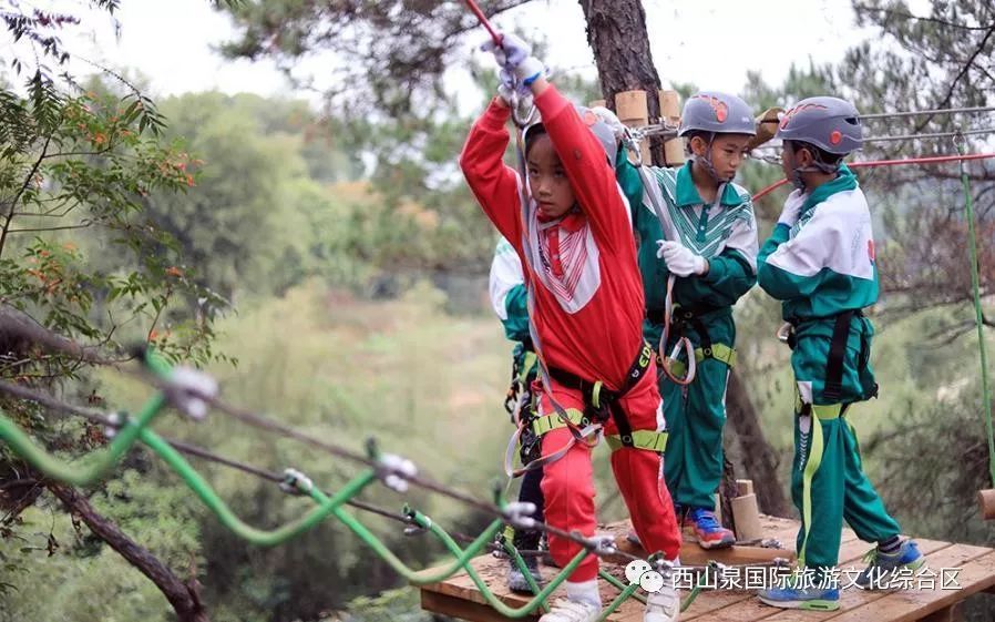 贵港周边网红打卡地一日游,贵港旅游团网红打卡景点