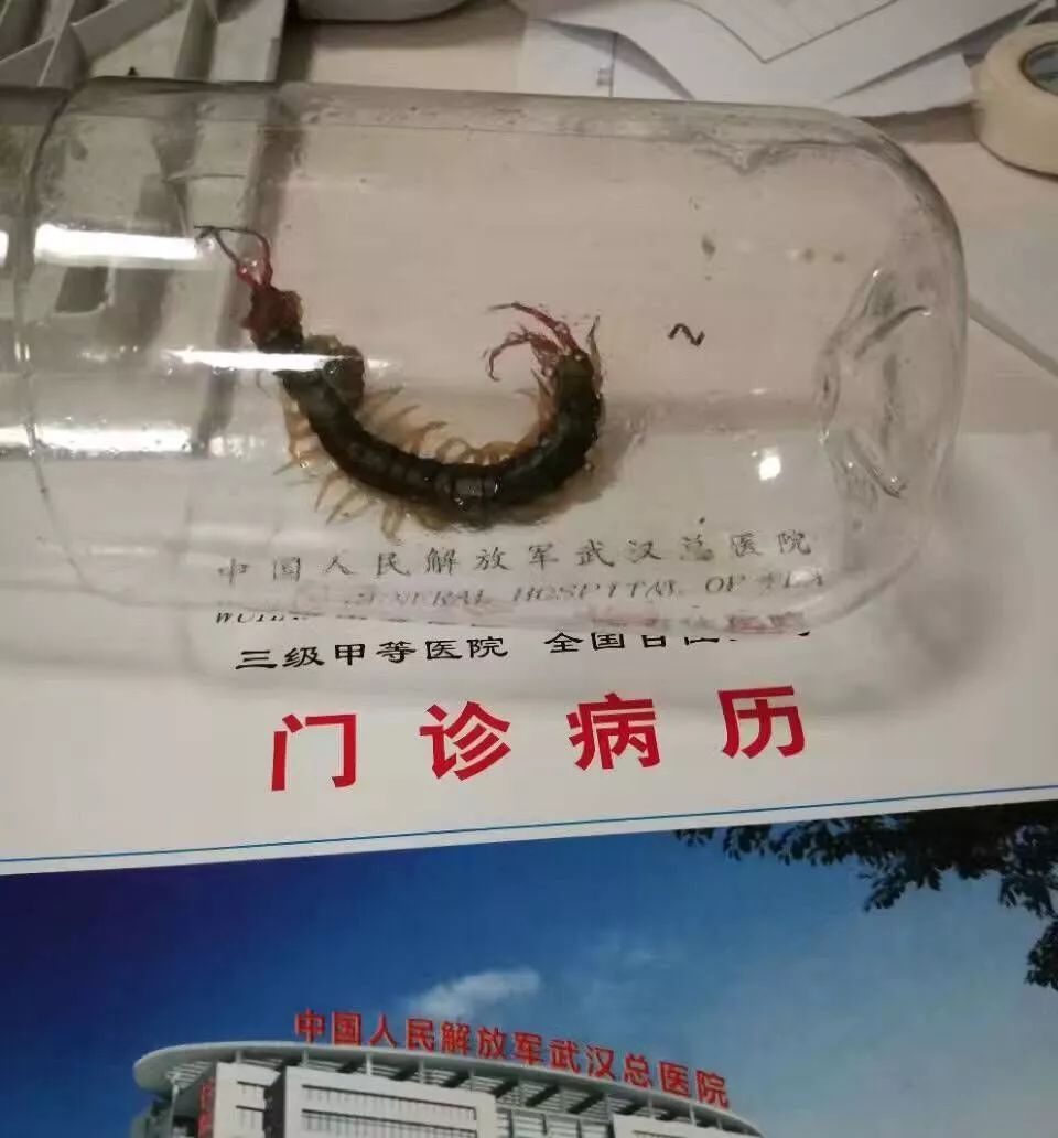 集结号你绝对不知道的军事细节,兵哥哥们集训遇歹徒追歹徒