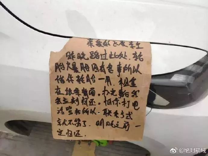 一周内奇闻趣事,一周趣事250字