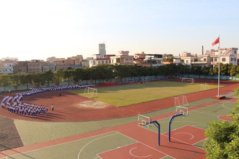 珍贵小学生的老照片,佛山珍贵老照片视频