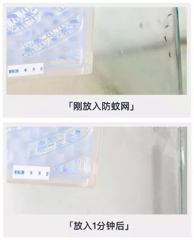 日本蚊帐最新款,日本家庭隐形蚊帐