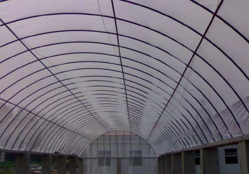 防虫网是否有必要安装,新型防虫网特点及作用