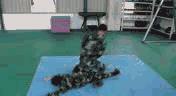 陆军兵哥哥教防身,兵哥哥教你一套防身术