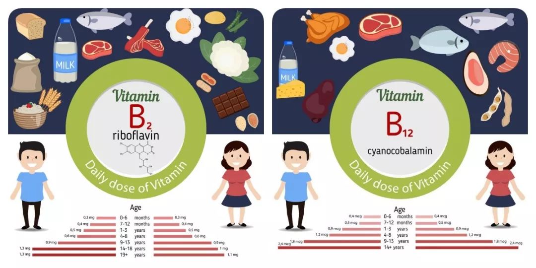 左旋健身减肥燃脂,健身快速燃脂科技