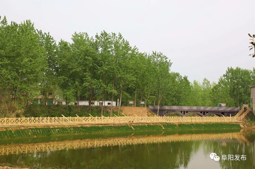 新疆昭苏县千亩芍药盛开,3a景区有哪些村