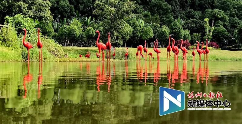 福州地铁4号线美食打卡,福州地铁4号线游玩攻略