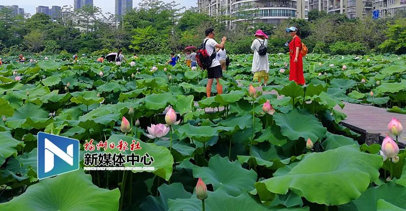 福州地铁4号线沿途美景美食,福州地铁4号线美食打卡