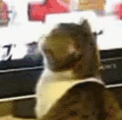 浙江温州一男子驾车,一男子高速上劫持未成年人