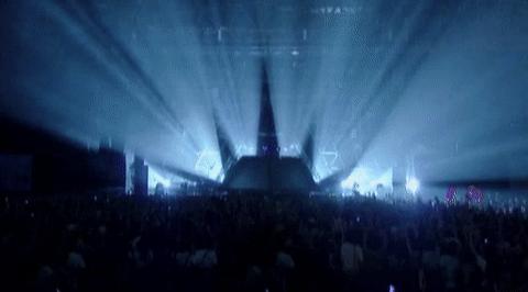 蠢朋克现在怎么样了,蠢朋克最新消息