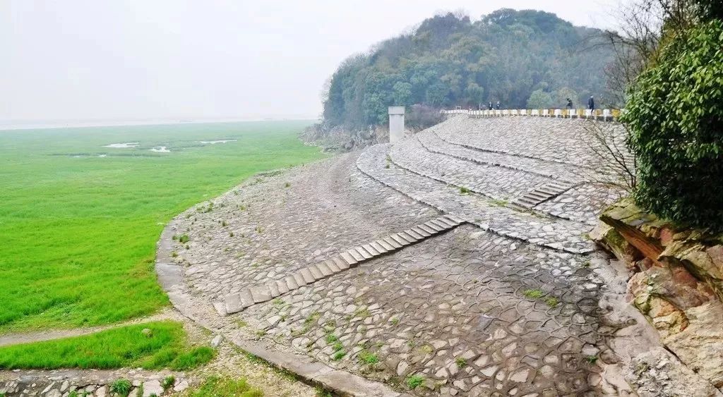 速抢！铺位有限！港澳专列全新升级，空调车体+一线四游！