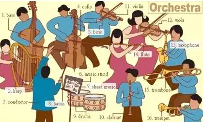 英语听力场景词汇大汇总，高一、高二、高三均适用！