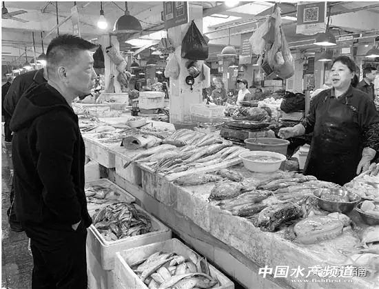 禁渔期倒计时建议囤货,禁渔期淡水鱼销售