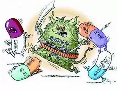 超级真菌真那么恐怖？鼓医专家：免疫力正常人群一般不会感染