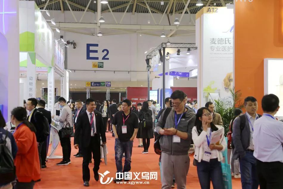 宠物能做“无痛胃镜”！来自全球的100余家企业来到义乌！