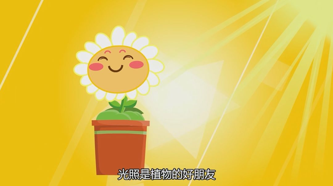 科普|比你女朋友还娇贵的药品应该如何储存？