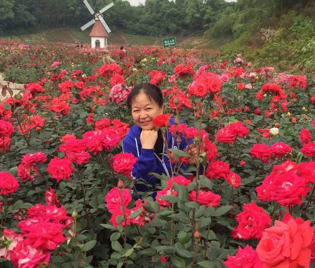 喜煞了！中国大妈外出旅游标准动作合辑！一招大雁南飞炫翻天！