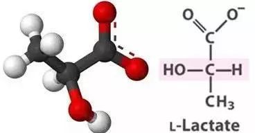灏忚寕鑲岃瘖瀹ゅ埌搴曟湁澶氬己,灏忚寕鑲岃瘖瀹よˉ姘村悧