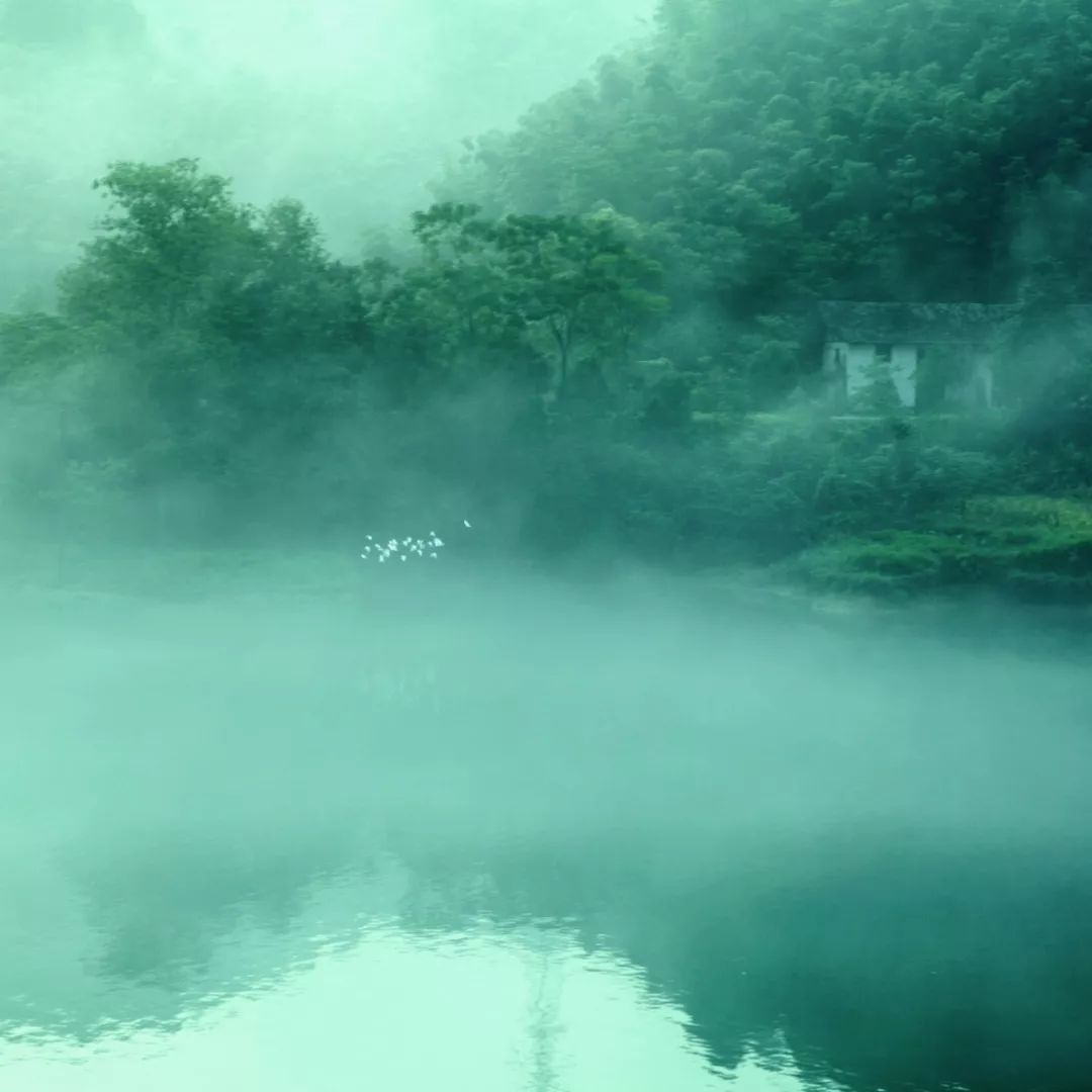 谷雨喝茶养生健康,谷雨节气与喝茶