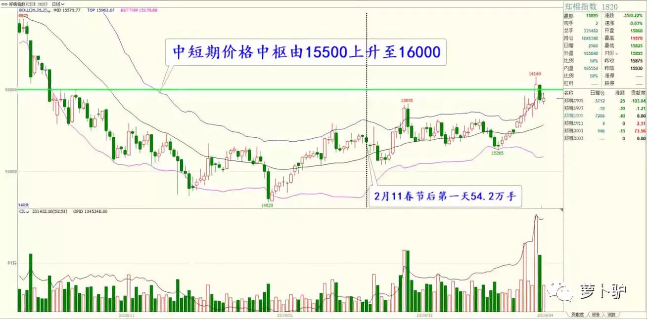 郑棉快速冲高抄底机会来了吗,郑棉大跌后后市怎么看