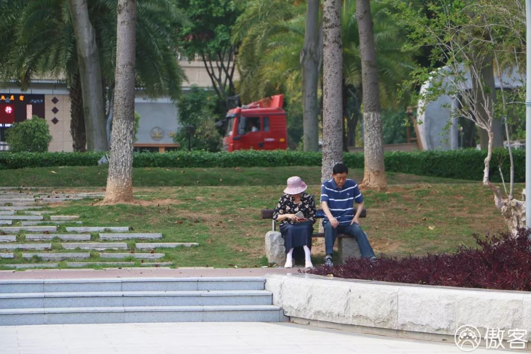 厦门美食探店海沧,厦门海沧特色美食探店