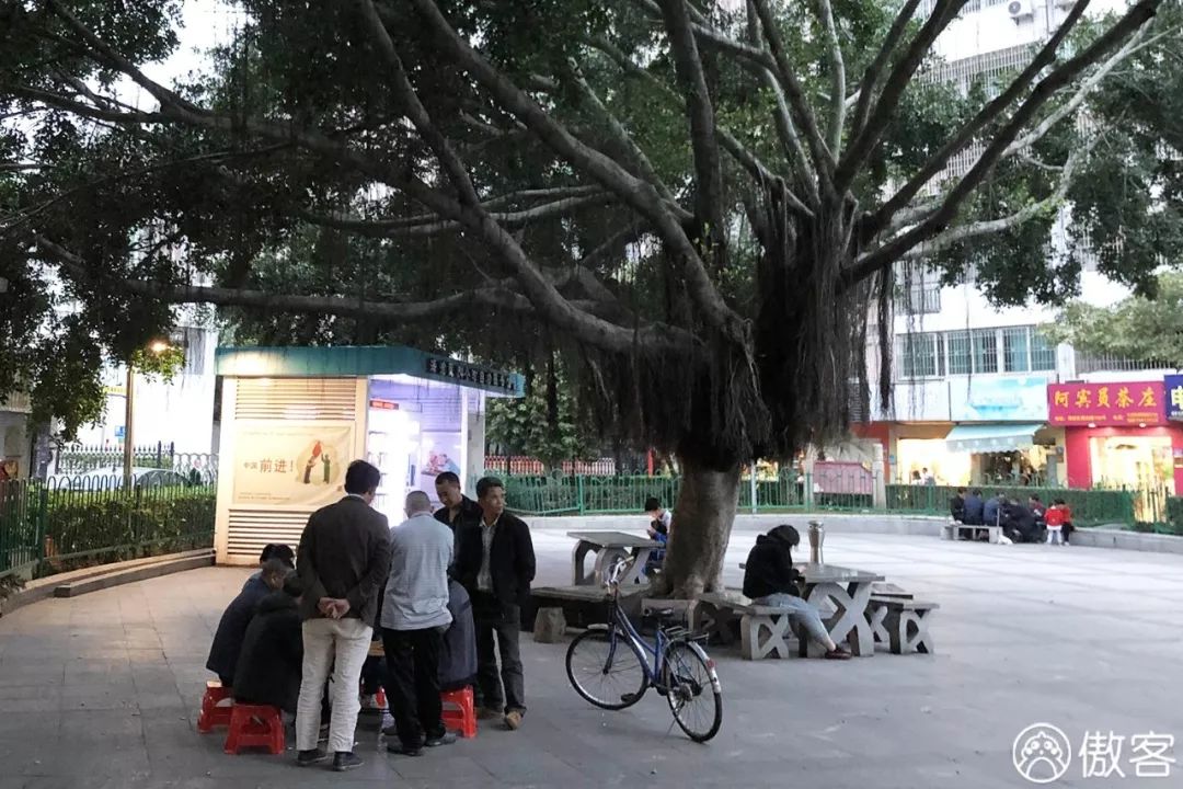 厦门美食探店海沧,厦门海沧特色美食探店