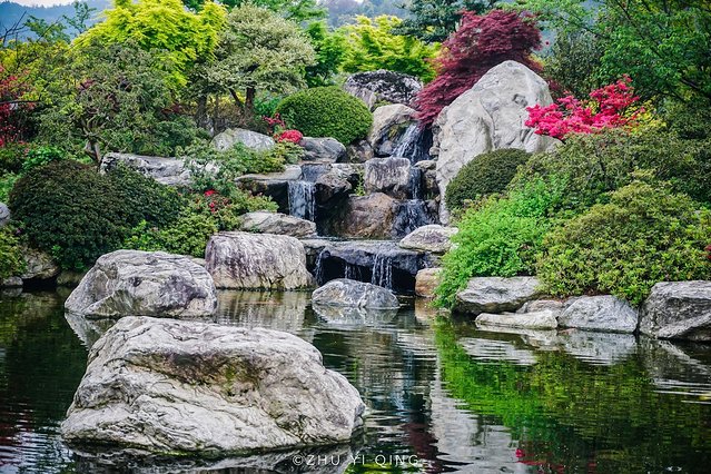 无锡赏花一日游,无锡春日樱花旅游攻略