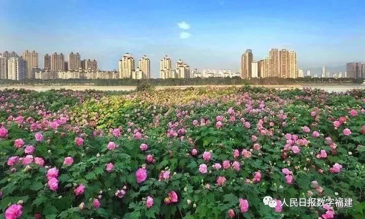 地铁免费体验票,地铁免费乘车优惠