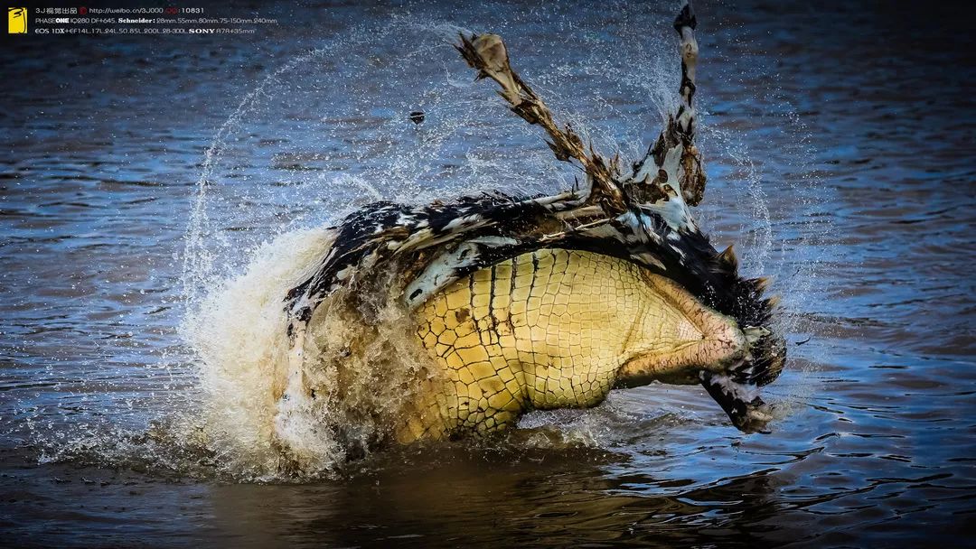 纪实大片摄影如何拍好看,摄影如何拍出大量好片