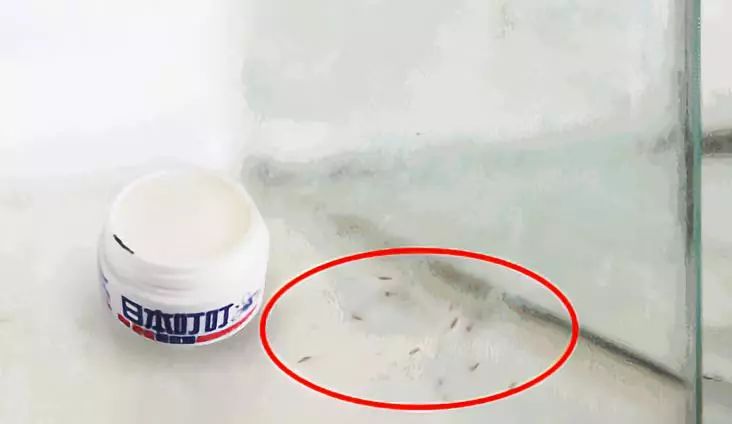 日本蚊子叮咬止痒膏儿童,日本蚊子止痒的药膏