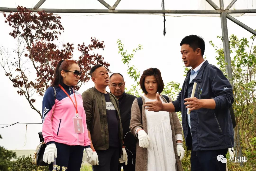 搴櫌姘存櫙鍠风亴,鍠风亴姘存櫙