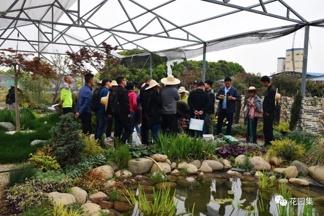 搴櫌姘存櫙鍠风亴,鍠风亴姘存櫙