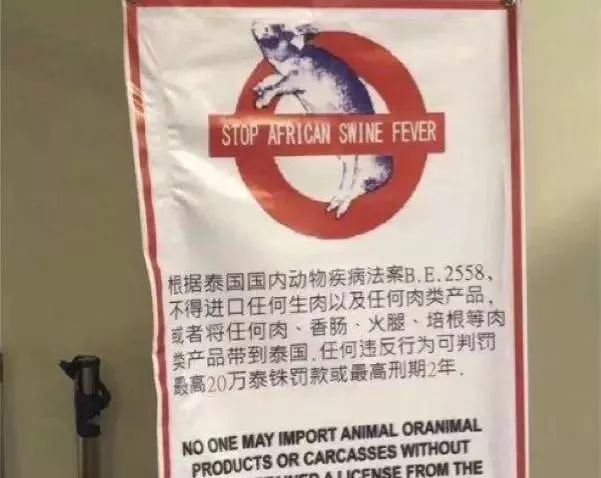 小虎普法丨女子过海关被捕差点被判死刑,只因带了…我们出国行李箱里几乎都有!