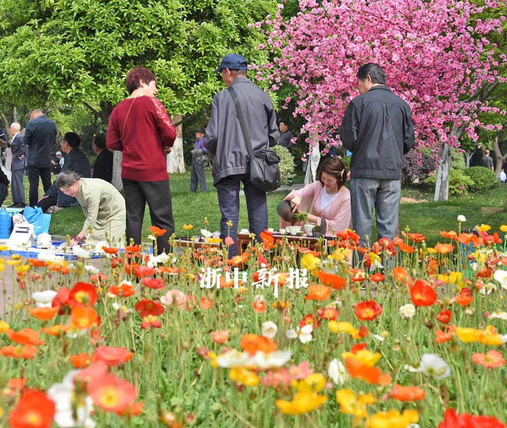 来杯谷雨茶？爱喝茶的小姐姐颜值都不低哟！