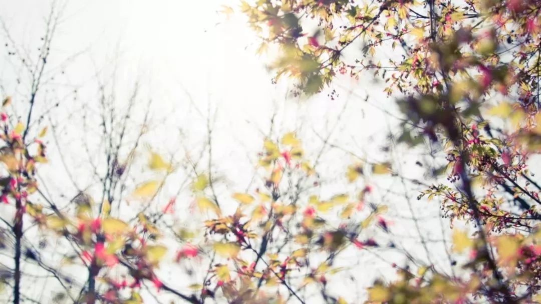 把石头弄成很好看的形状,把石头雕刻成什么形状最好看