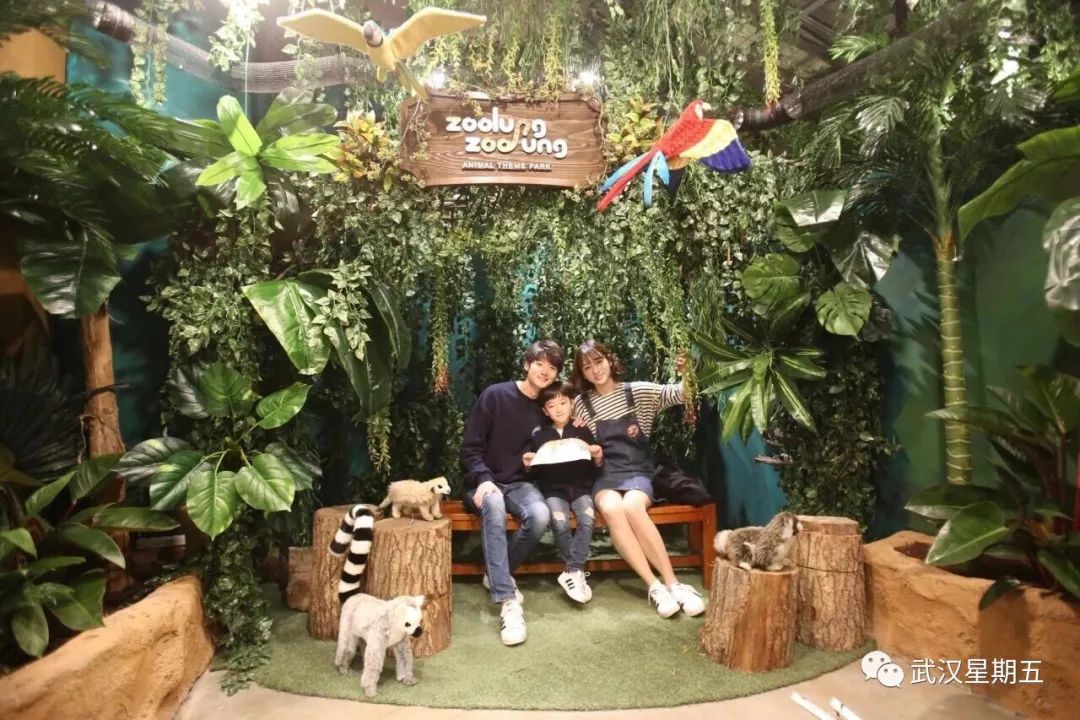 100个亲子互动游乐项目,100多平米的亲子游乐场