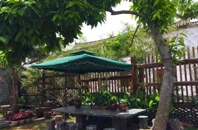 石屏杨梅樱桃采摘方法,石屏杨梅上市了欢迎大家来品尝