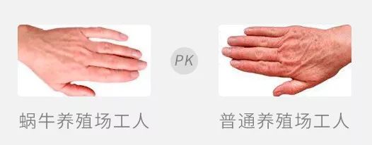 抗氧化修护面霜,修复维稳抗老大牌精华和面霜