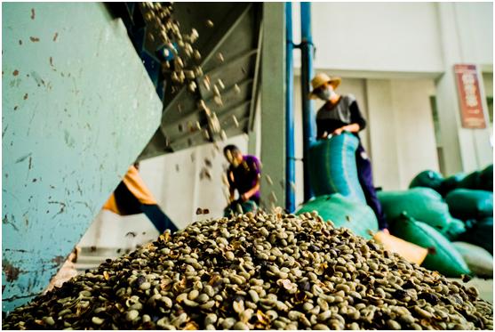 拼多多助力农业脱贫视频,拼多多扶贫行动