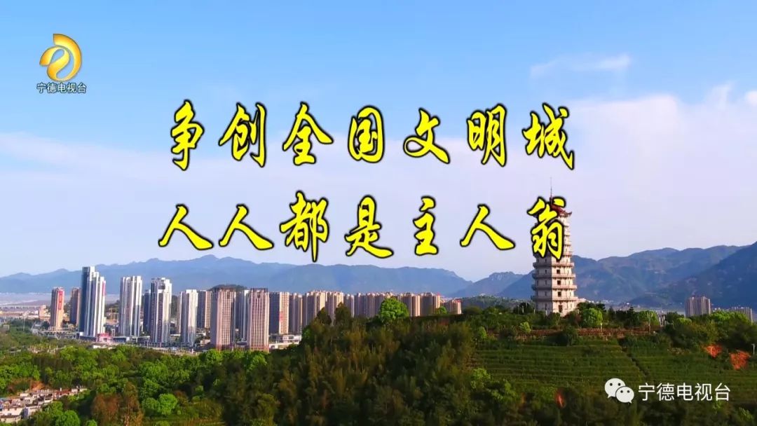 宁德318家微商、代购办理了营业执照！还没“身份证”的网店老板们快看