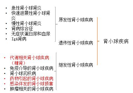 科普肾脏,医学科普出汗和肾脏关系