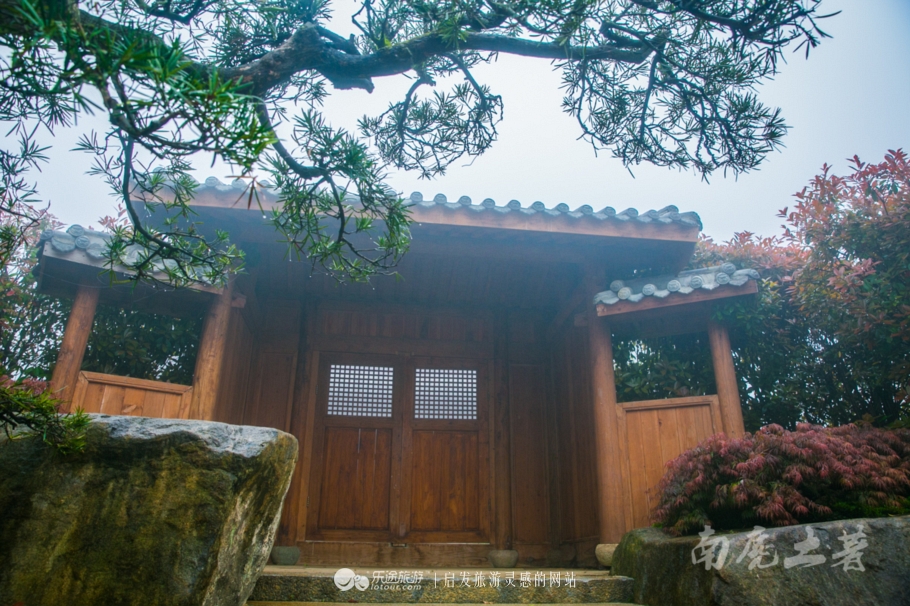 茶话会的形式是什么,中国茶道和日本茶道有什么联系