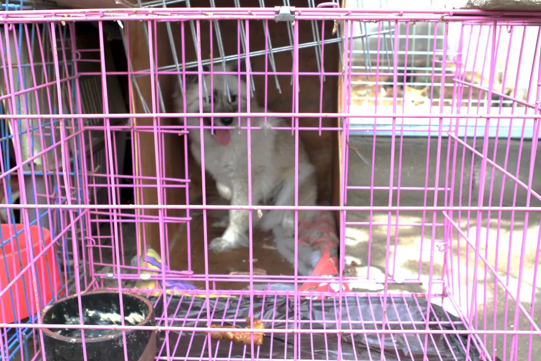 志愿沂蒙莒南,志愿沂蒙心连心